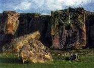 Aslantas rock monuments in Afyon
