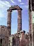 Columns of Temple of Apollo in Didyma