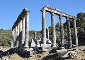 Il tempio di Zeus ad Euromos