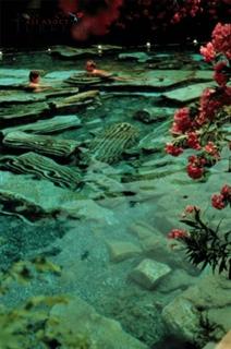 Ancient thermal pool in Pamukkale